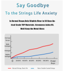 Orphee T4 Firelock Acoustic Guitar Strings Set - Image 3