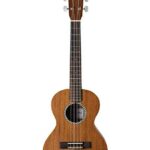 Cordoba 20TM Tenor Ukulele With Currying Hardcase and Picks - guiter