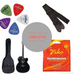 Signature Acoustic  Semi-Electric Guitar