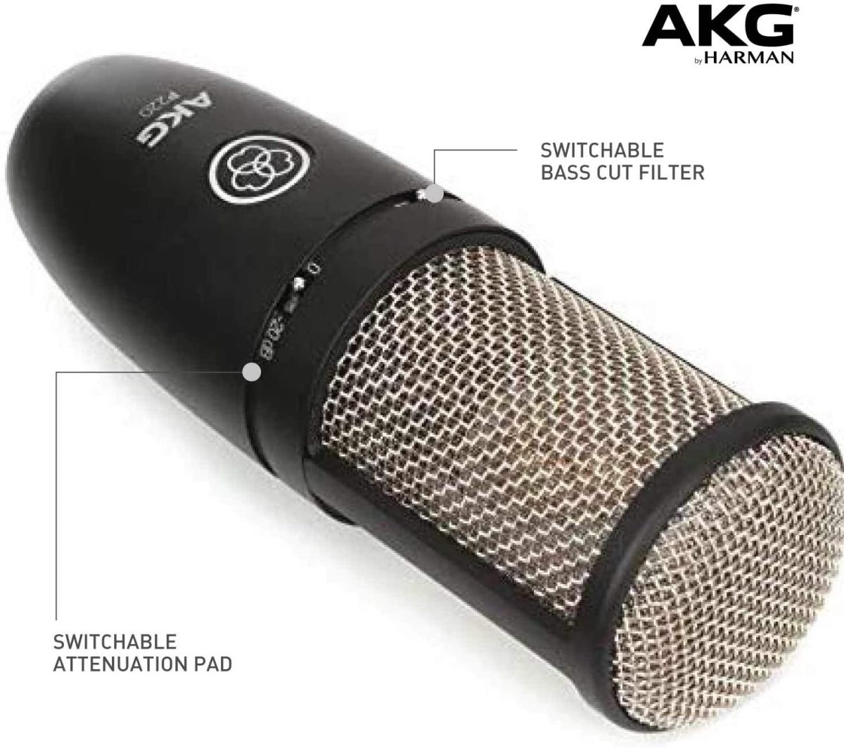 AKG_Pro Audio P220 Large-diaphragm Condenser Microphone - Image 3