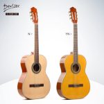 Deviser L-310-N-YN-39 Classical guitar