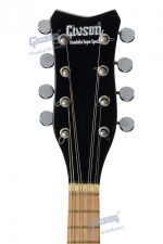 Mandolin Super Special - Image 3