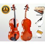 Deviser Professional Violin V-30 - Natural Edition