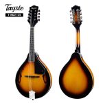 Tayste T-MA1-CS - Mandolin With gig Bag and picks