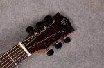 Chard F4090C Acoustic Guitar - Image 4