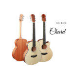 Chard GS MINI 2C Travel Guitar