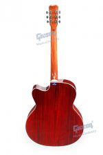 Givson Semi Acoustic Venus (Cut-A-Way, Rose Wood With Pick Up, E.Q.) - Image 4