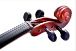 Deviser V 30MA/MB Student Series Violin - Image 5