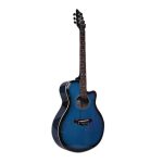 C.M-2 Acoustic Guitar - Blue - Image 2