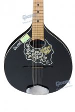 Mandolin Super Special - Image 4