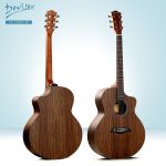 Deviser LS 150  Acoustic Guitar - Image 2