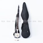 LF Electric Dotara Custom fretboard Deluxe Bass Carved Wood Instrument, 4 String with Carrying Bag