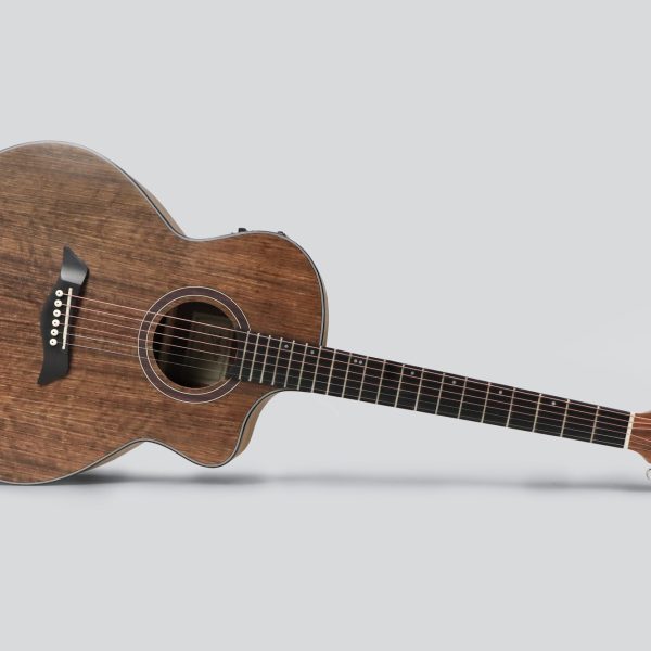 Deviser LS 150  Acoustic Guitar