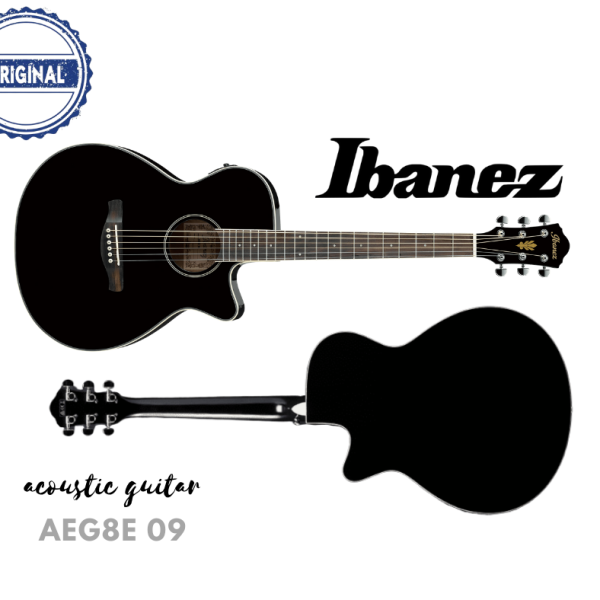Ibanez AEG8E Acoustic Guitar