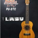 PukanaLa Model PU-STC "Summer" Tattoo Series Sapele Mahogany Concert Size Ukelele