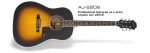 Epiphone AJ-220S Acoustic Guitar - Image 2