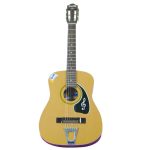 Givson Acoustic Hawain Guitar