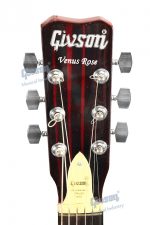 Givson Semi Acoustic Venus (Cut-A-Way, Rose Wood With Pick Up, E.Q.) - Image 3