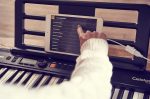 Casio Casiotone CT-S300 – Portable Keyboard | Touch-Sensitive | 400 Tones, 77 Rhythms & Pitch Bend | Ideal for Music Creation Anytime, Anywhere - Image 5