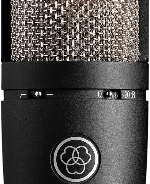 AKG Pro Audio P220 High-Performance Condenser Microphone, Great for Vocals, Guitar, Brass, and General Recording. XLR Wired Mic, for Studio or Stage. Black