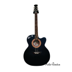 Signature Roghu Series Acoustic Guitar (Original)