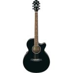 Ibanez AEG10E BK 6 String Semi Acoustic Guitar
