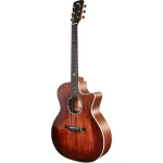 Tyma TG-5E BRS Acoustic-Electric Guitar - Image 7