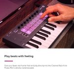 Novation FLkey Mini 25-key Keyboard Controller for FL Studio - Image 3