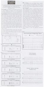 Feadog Brass D Tin Whistle Pack FW01 - Image 5