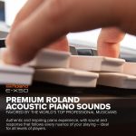 Roland E-X50 Electronic Arranger Keyboard – Easy-to-use | Stereo Speakers | Bluetooth | Professional Roland Sounds | Mic Input | Auto-accompaniment Function - Image 6