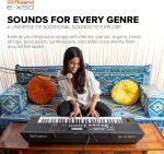 Roland E-X50 Electronic Arranger Keyboard – Easy-to-use | Stereo Speakers | Bluetooth | Professional Roland Sounds | Mic Input | Auto-accompaniment Function - Image 5