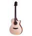HT-250CE/N