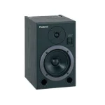 Roland DS-7 Bi-amp Monitor