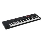 Roland XPS-10Expandable Synthesizer Pro Keyboard(Black)