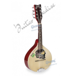 Givson Mandolin (Rose Wood, Export Quality)
