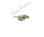 Indian Bell Cymbals Pair