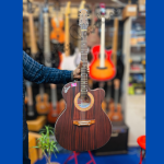 Signature Topaz 265 Acoustic Guitar