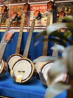 M Biswas Professional Banjo - Image 3