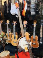 M Biswas Professional Banjo - Image 2