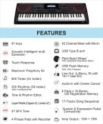 Casio CT-X9000IN 61-Key Portable Keyboard, Black - Image 4
