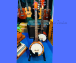 M Biswas Professional Banjo