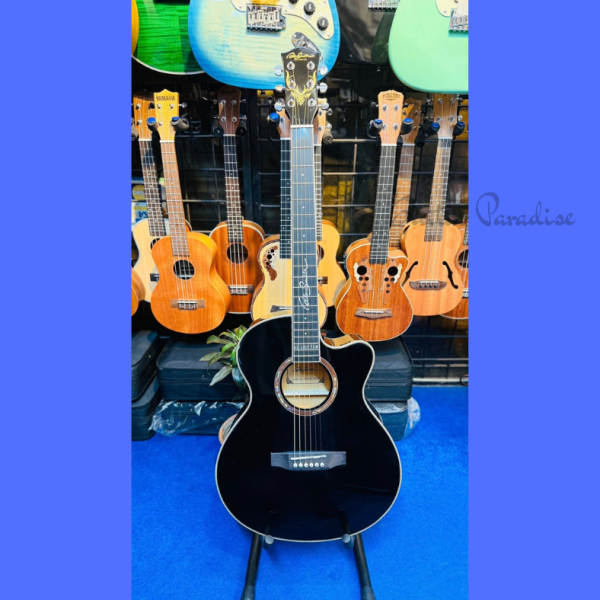 Adam Smith AD-102C TRM BK Premium Acoustic Guitar