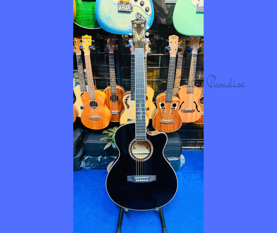 Adam Smith AD-102C TRM BK Premium Acoustic Guitar Adam Smith AD-102C TRM BK Premium Acoustic Guitar