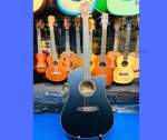 Adam Smith AD-103BKN Acoustic Guitar