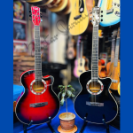 TGM TG-Classic Acoustic Guitar Price in Bangladesh