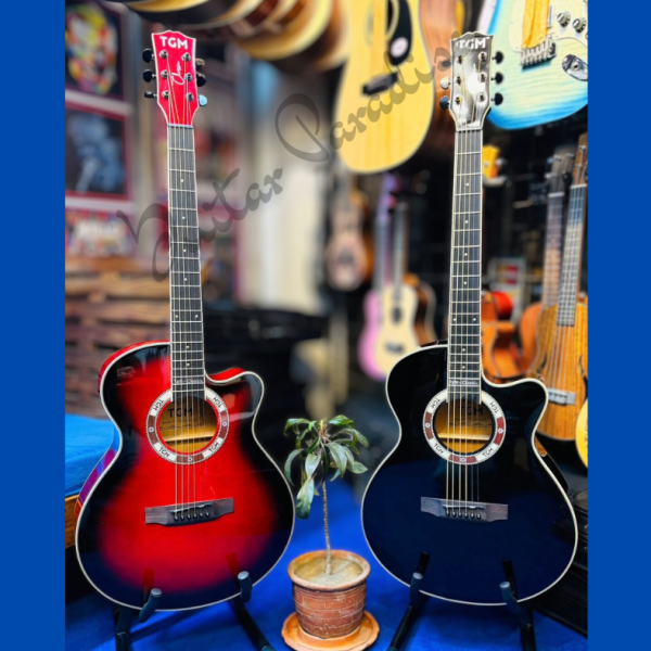 TGM TG-Classic Acoustic Guitar Price in Bangladesh