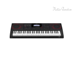 Casio CT-X8000IN 61-Key Portable Keyboard (Black)