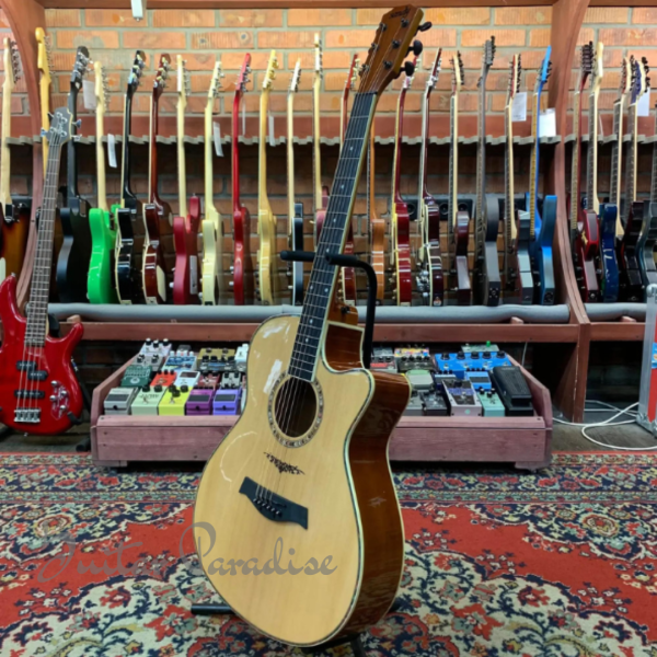 Sandy S403 Pure Acoustic Guitar – Performance Series