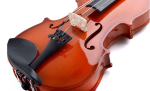 Tayste R-20 Hardwood Violin – Maple High Gloss Spruce (4/4) - Image 3