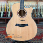 Sandy S403 Pure Acoustic Guitar - Image 2